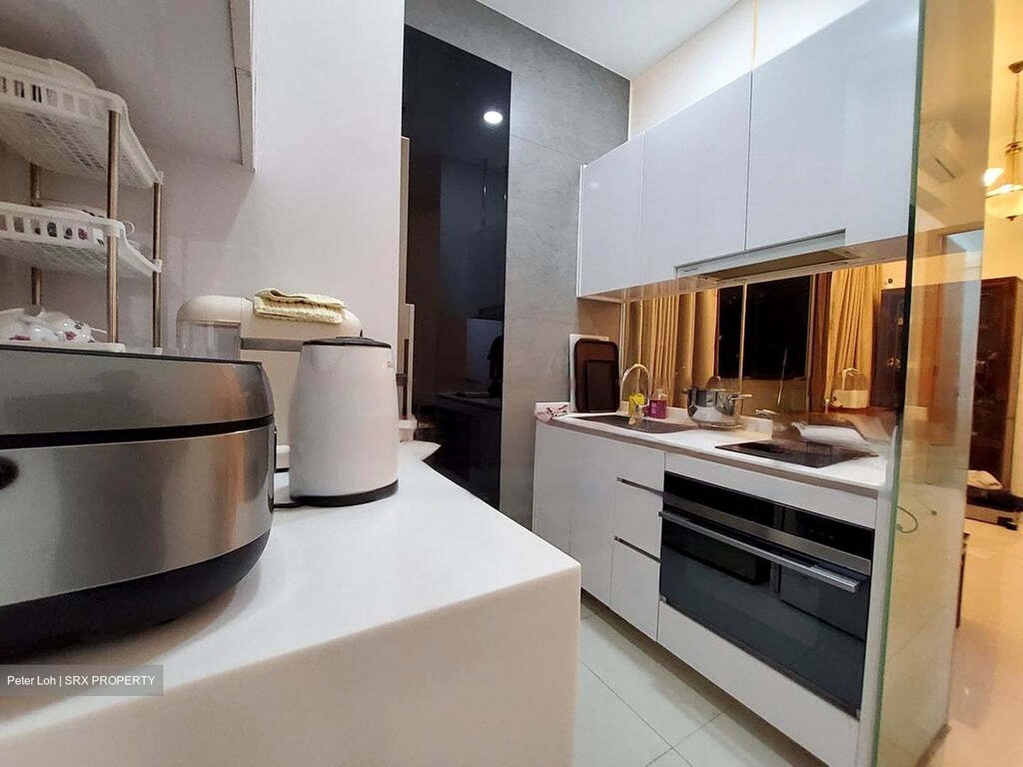 Ascent @ 456 (D12), Apartment #576350901